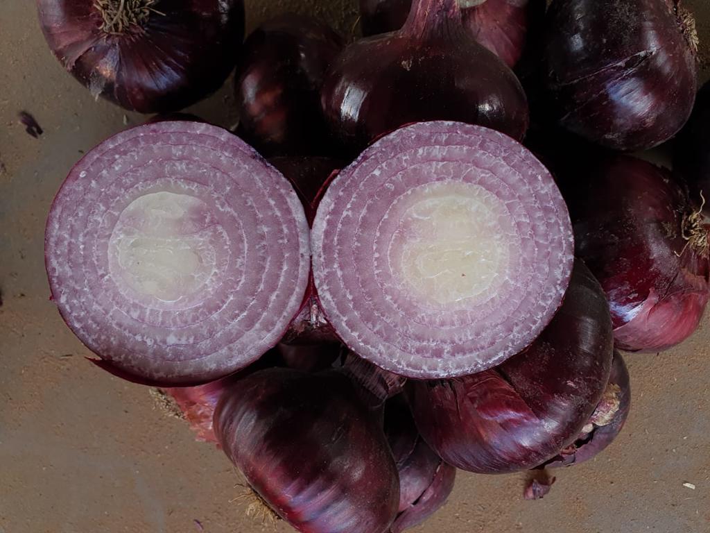 Product image - To ensure that you get the best quality and the best price, you have to deal with Alshams company.
We are  alshams an import and export company that offer all kinds of agriculture crops.
We offer you  fresh onion 
Quality :First Class Onion
Best Regards
Merna Hesham
Cell(whats-app) 00201093042965                                                                  
